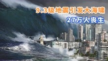 [图]印度洋9.3级大地震引发超级海啸，27万人遇难！纪录片南亚大海啸