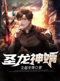 圣龙神婿