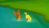 猫和老鼠：小鸭子不会游泳，杰瑞蒙了！你怕不是个旱鸭子