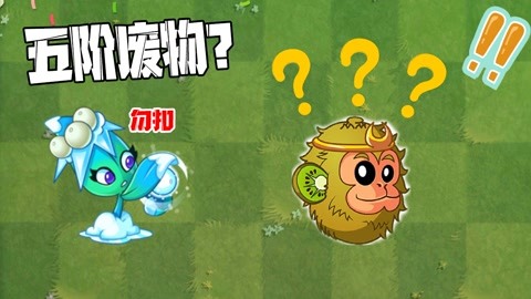 隔壁小蛙【植物大战僵尸:植物大战僵尸:pvz升五阶不如不升的植物!