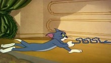 猫和老鼠：汤姆天才自学弹琴，约翰老鼠出来跳舞，两人一举成名！
