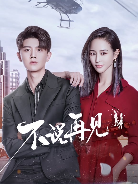 不说再见高清海报