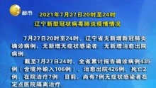 2021年7月27日20时至24时  辽宁新型冠状病毒肺炎疫情情况