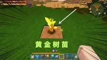 新世界5：金色的种子