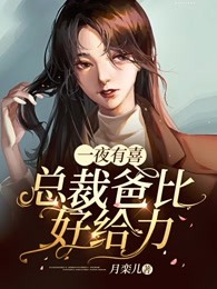 一夜有喜：总裁爸比好给力