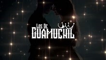 Los De Guamuchil - Al Fin 