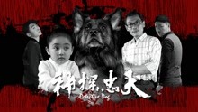 watch the latest Detective Dog (2018) with English subtitle English Subtitle