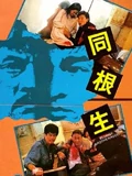 同根生粤配}