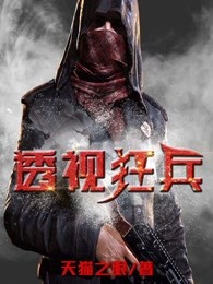 透视狂兵