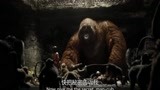奇幻森林：猴子绑架熊孩子，带他见“美猴王”，这猴子简直成精了