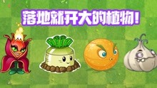 [图]植物大战僵尸：Pvz落地就开大的植物！导弹萝卜压迫感十足！