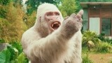 狂暴巨兽：大猩猩太会了，强森想和他击拳，谁想被它竖中指戏弄！