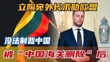 被“中国海关删除”后，立陶宛外长求助欧盟，没法制裁中国