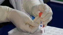 湖南岳阳发现1例新冠病毒初筛阳性，复核为阴性