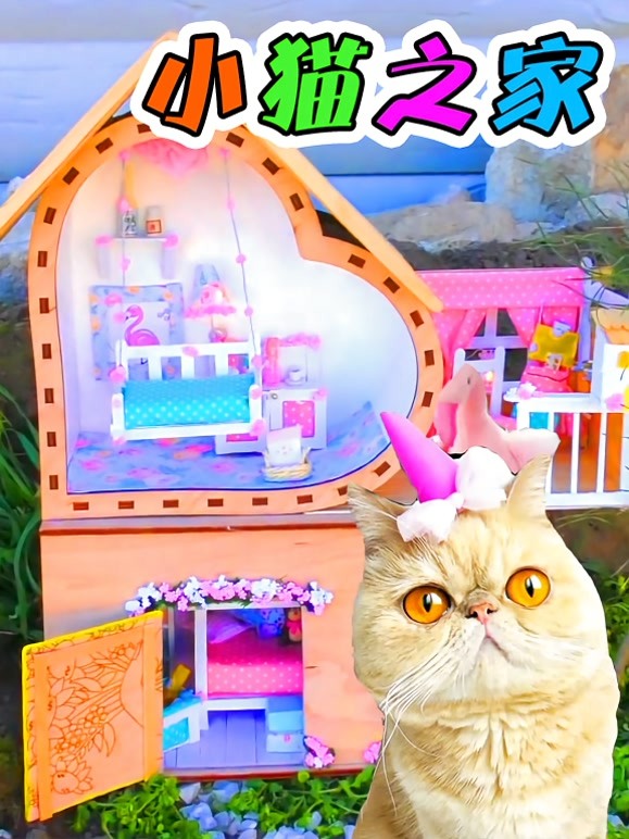 小猫之家
