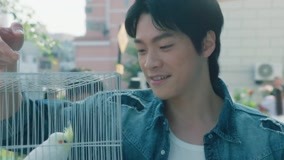 Watch the latest EP17 The Secret Behind the Parrot's 'I Like You' online with English subtitle for free English Subtitle