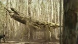 金刚骷髅岛：小伙坐在“树干”上，“树干”突然惊醒
