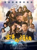 宝哥的烦恼}