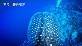 Watch the latest Dive The World Episode 5 (2020) online with English subtitle for free English Subtitle