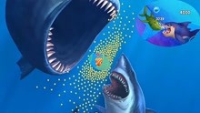 大鱼吃小鱼：小丑鱼进化反杀大鲸鱼？