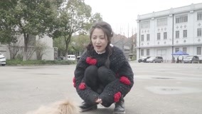 Tonton online Kecintaan Chen Yuqi terhadap anak anjing Sarikata BM Dabing dalam Bahasa Cina