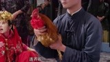 《京城81号》女孩拜堂成亲，老公却是一只公鸡，这辈子都完了！