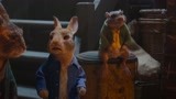 《比得兔2》彼得打入城市帮派 猪猪被绑起来变飞猪