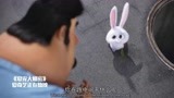 《爱宠大机密》：看小兔子怎么救自己同伴的，可爱到家！