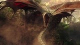 哥斯拉大战金刚：巨蛇缠住金刚，金刚怒了，抓它的头