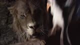 《狮子王》：沙祖弄没了狮子的午餐，狮子转头就要吃它，吓坏了