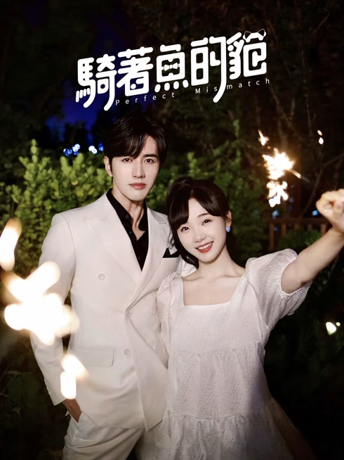 Tonton online Perfect Mismatch Sub Indo Dubbing Mandarin