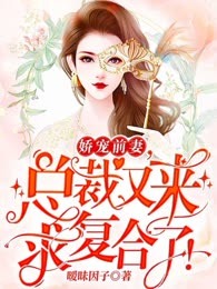 娇宠前妻：总裁又来求复合了