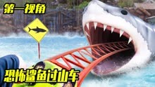 恐怖鲨鱼过山车滑梯