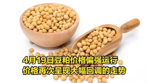 4月19日,豆粕价格偏强运行,价格再次呈现大幅回调的走势