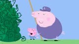 小猪佩奇：猪妈妈被困灌木丛，英俊的王子救了他，是猪爸爸呢！