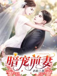 暗宠前妻