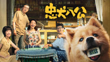 线上看 忠犬八公 (2023) 带字幕 中文配音