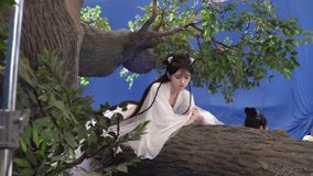 線上看 BTS：《花戎》花絮：號外！小鳳凰被師尊掛在樹上啦 (2023) 帶字幕 中文配音，國語版
