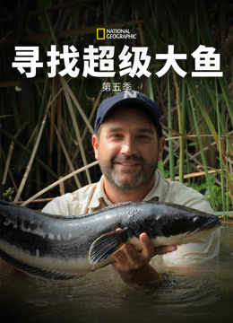 寻找超级大鱼第五季