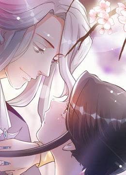 将军的小宠医动态漫画第三季