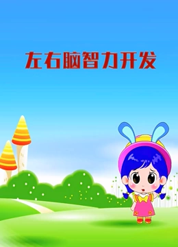左右脑智力开发}
