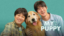 Watch the latest My Puppy (2023) online with English subtitle for free English Subtitle