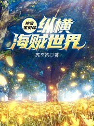 神奇宝贝球纵横海贼世界