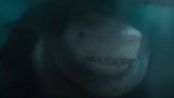 巨齿鲨2：大章鱼和巨鲨内斗，两个巨无霸生死搏杀，绝了