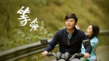 線上看 2020等愛 (2020) 帶字幕 中文配音，國語版