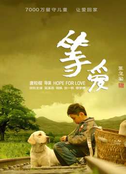 線上看 2020等愛 (2020) 帶字幕 中文配音，國語版