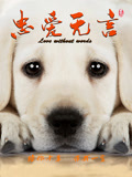 忠爱无言