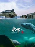 水下中国 第二季