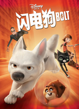 闪电狗