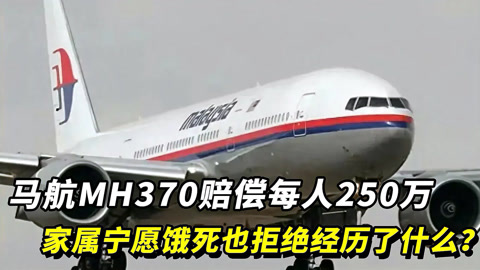 马航h370中国不敢公布图片